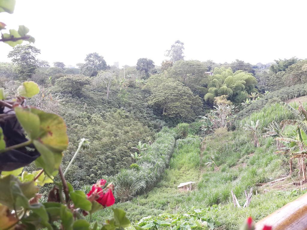 Finca El Diamante Calarcá Exterior foto