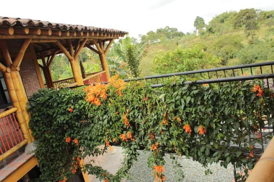 Finca El Diamante Calarcá Exterior foto